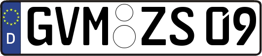GVM-ZS09