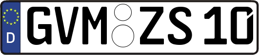 GVM-ZS10