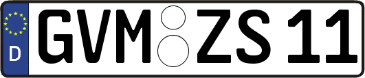 GVM-ZS11