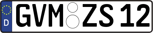 GVM-ZS12