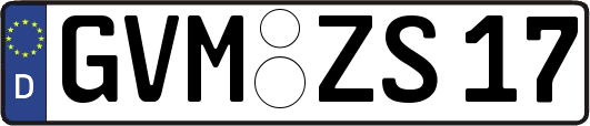 GVM-ZS17