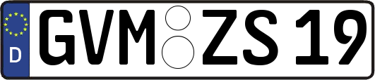 GVM-ZS19