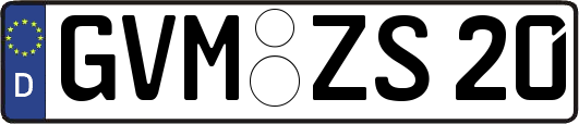 GVM-ZS20