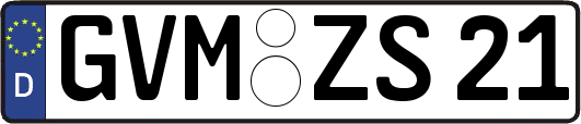 GVM-ZS21