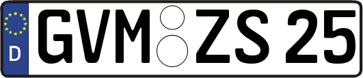 GVM-ZS25