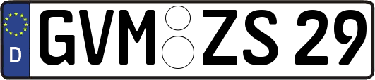 GVM-ZS29