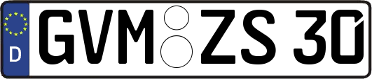 GVM-ZS30