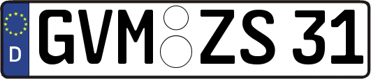 GVM-ZS31