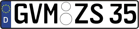 GVM-ZS35