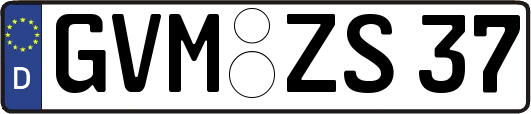 GVM-ZS37