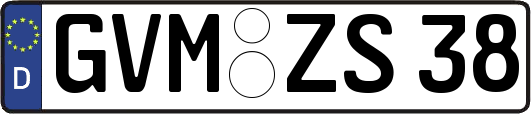 GVM-ZS38