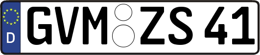 GVM-ZS41