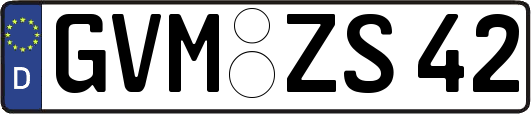 GVM-ZS42