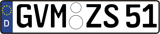 GVM-ZS51
