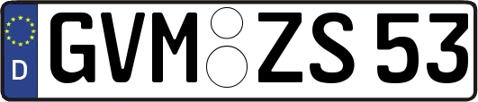 GVM-ZS53