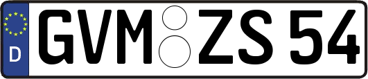 GVM-ZS54