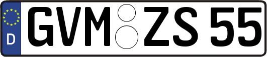 GVM-ZS55