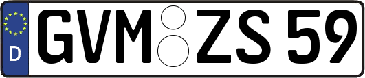 GVM-ZS59