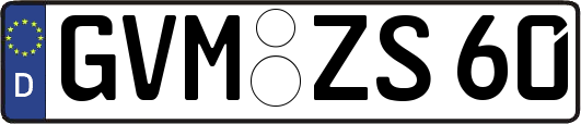 GVM-ZS60