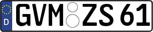 GVM-ZS61