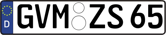 GVM-ZS65