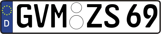 GVM-ZS69
