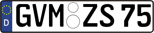 GVM-ZS75