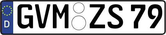 GVM-ZS79