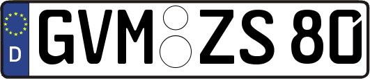 GVM-ZS80
