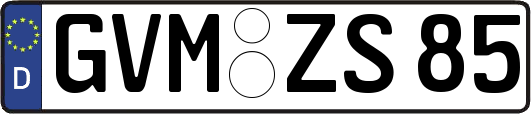 GVM-ZS85