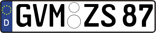 GVM-ZS87