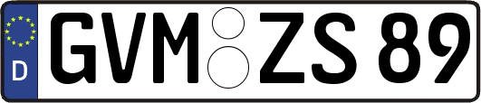 GVM-ZS89