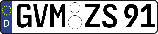 GVM-ZS91