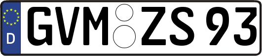 GVM-ZS93