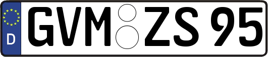 GVM-ZS95