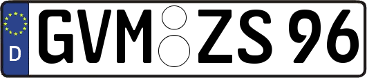 GVM-ZS96