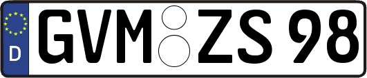 GVM-ZS98