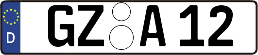 GZ-A12