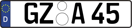 GZ-A45