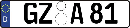 GZ-A81