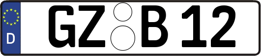 GZ-B12