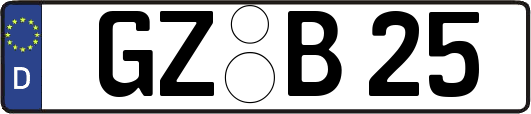 GZ-B25