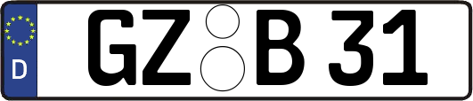 GZ-B31