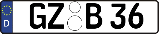 GZ-B36