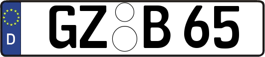 GZ-B65