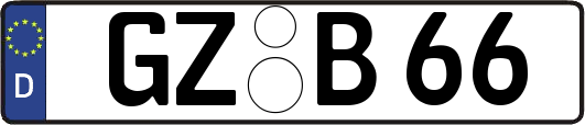 GZ-B66