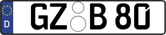 GZ-B80