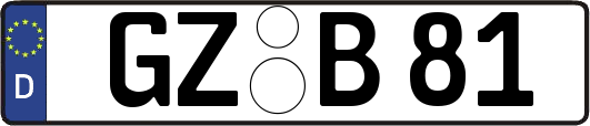 GZ-B81