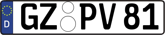 GZ-PV81