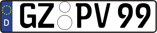 GZ-PV99